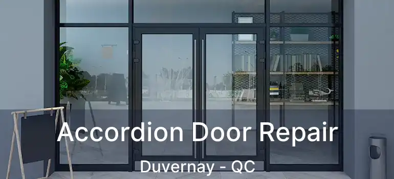 Accordion Door Repair Duvernay - QC