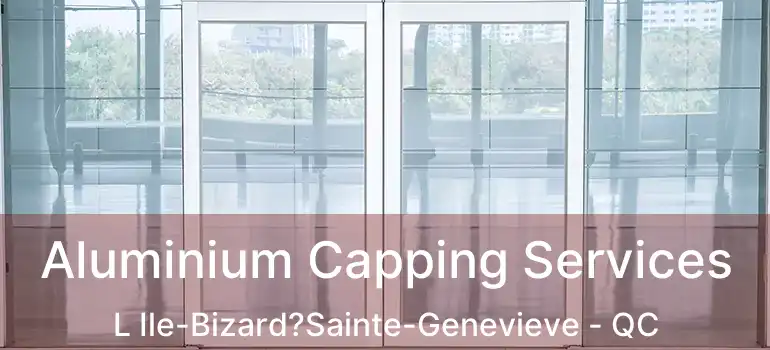  Aluminium Capping Services L Ile-Bizard?Sainte-Genevieve - QC