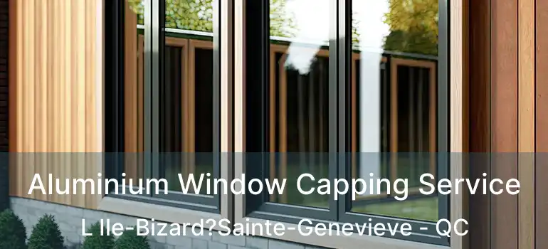  Aluminium Window Capping Service L Ile-Bizard?Sainte-Genevieve - QC