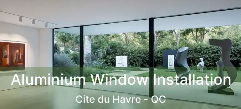  Aluminium Window Installation Cite du Havre - QC