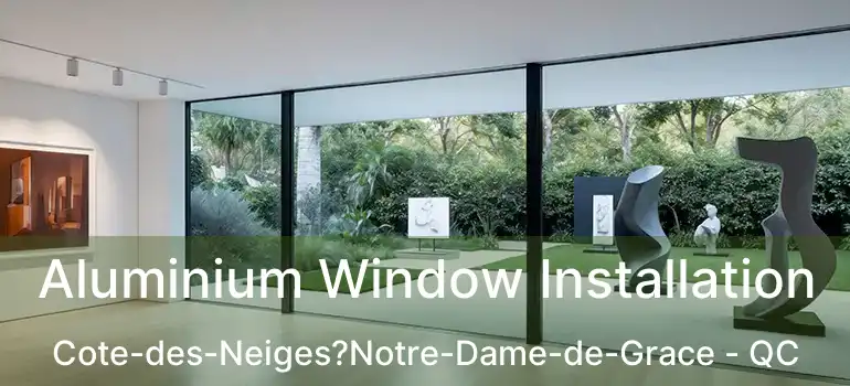  Aluminium Window Installation Cote-des-Neiges?Notre-Dame-de-Grace - QC