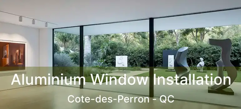 Aluminium Window Installation Cote-des-Perron - QC