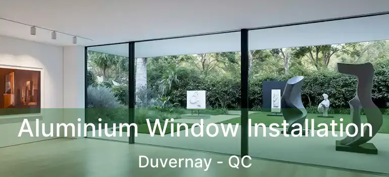  Aluminium Window Installation Duvernay - QC