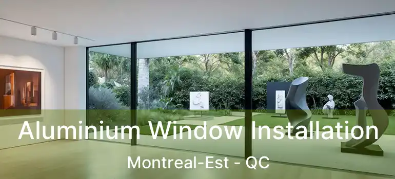  Aluminium Window Installation Montreal-Est - QC