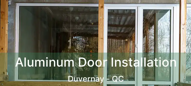  Aluminum Door Installation Duvernay - QC