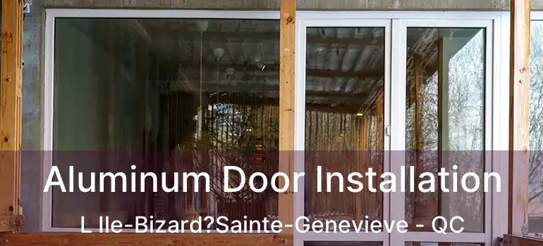  Aluminum Door Installation L Ile-Bizard?Sainte-Genevieve - QC