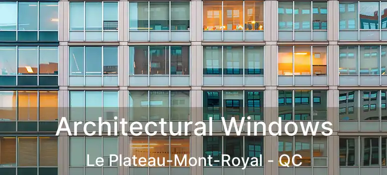  Architectural Windows Le Plateau-Mont-Royal - QC