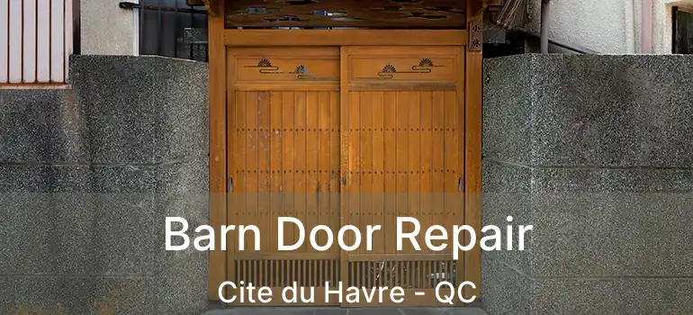  Barn Door Repair Cite du Havre - QC