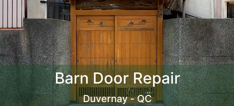  Barn Door Repair Duvernay - QC