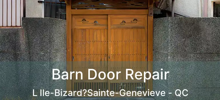  Barn Door Repair L Ile-Bizard?Sainte-Genevieve - QC