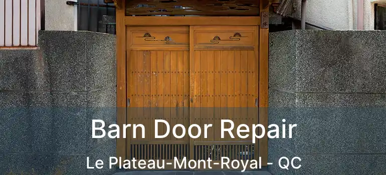  Barn Door Repair Le Plateau-Mont-Royal - QC