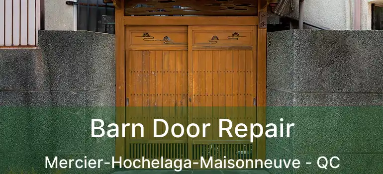  Barn Door Repair Mercier-Hochelaga-Maisonneuve - QC