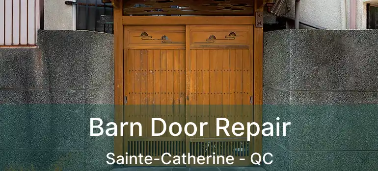  Barn Door Repair Sainte-Catherine - QC