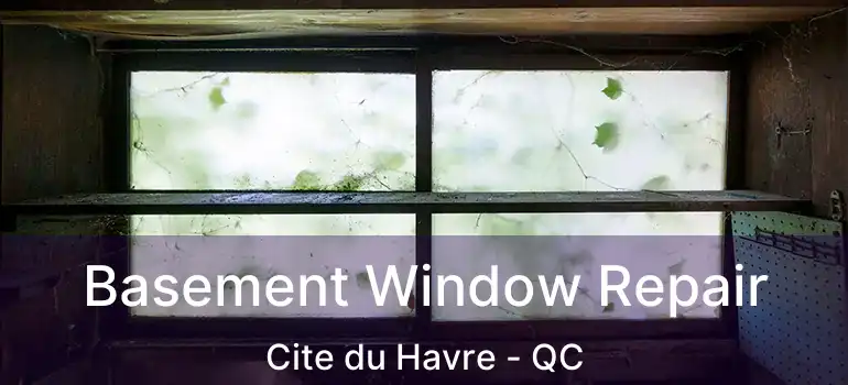  Basement Window Repair Cite du Havre - QC