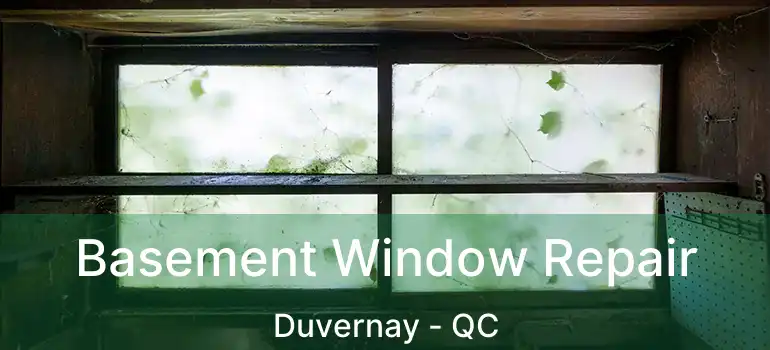  Basement Window Repair Duvernay - QC