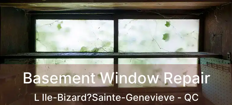  Basement Window Repair L Ile-Bizard?Sainte-Genevieve - QC