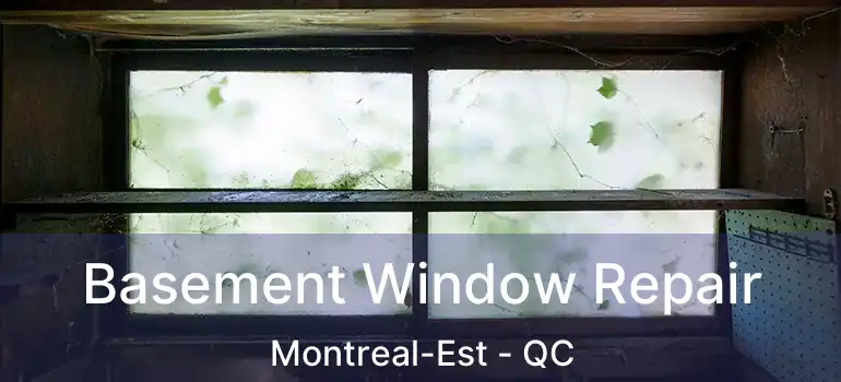  Basement Window Repair Montreal-Est - QC
