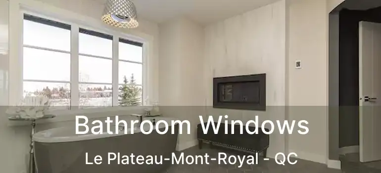  Bathroom Windows Le Plateau-Mont-Royal - QC