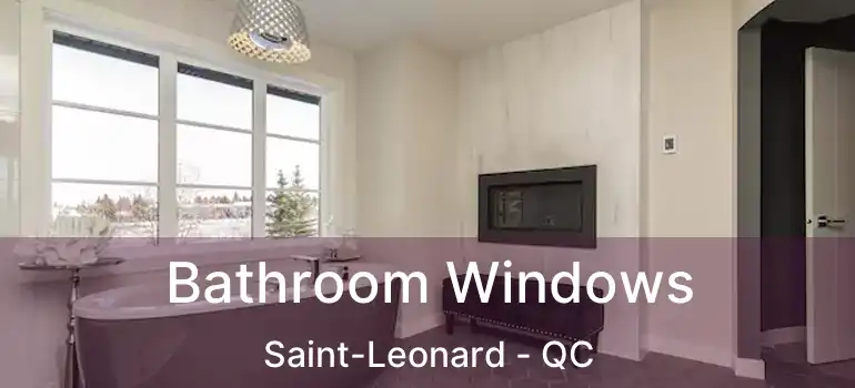  Bathroom Windows Saint-Leonard - QC
