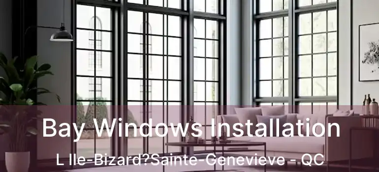  Bay Windows Installation L Ile-Bizard?Sainte-Genevieve - QC