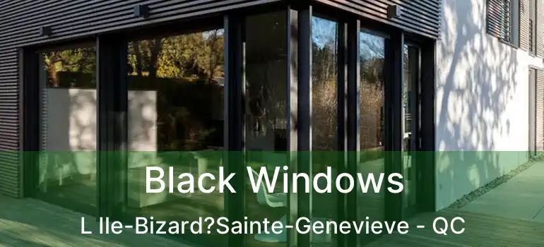  Black Windows L Ile-Bizard?Sainte-Genevieve - QC