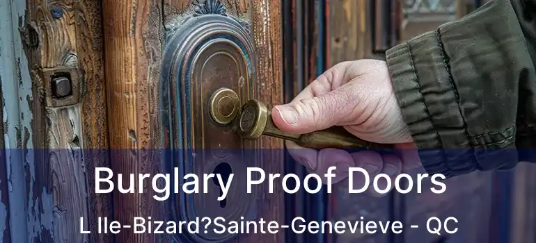  Burglary Proof Doors L Ile-Bizard?Sainte-Genevieve - QC