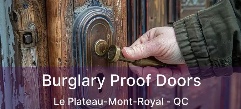  Burglary Proof Doors Le Plateau-Mont-Royal - QC
