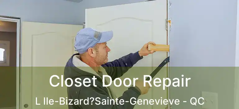  Closet Door Repair L Ile-Bizard?Sainte-Genevieve - QC