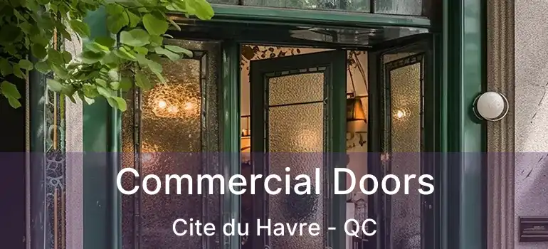  Commercial Doors Cite du Havre - QC