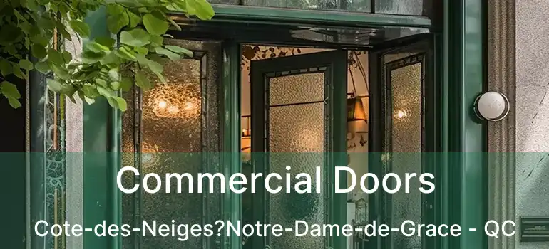  Commercial Doors Cote-des-Neiges?Notre-Dame-de-Grace - QC