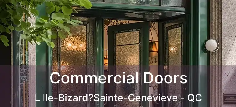  Commercial Doors L Ile-Bizard?Sainte-Genevieve - QC