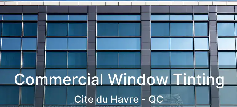  Commercial Window Tinting Cite du Havre - QC