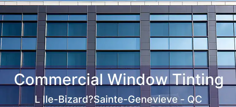  Commercial Window Tinting L Ile-Bizard?Sainte-Genevieve - QC