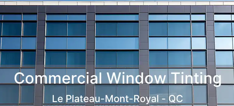  Commercial Window Tinting Le Plateau-Mont-Royal - QC