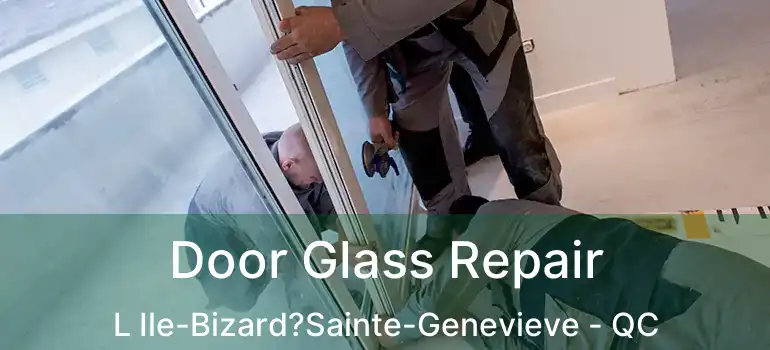  Door Glass Repair L Ile-Bizard?Sainte-Genevieve - QC