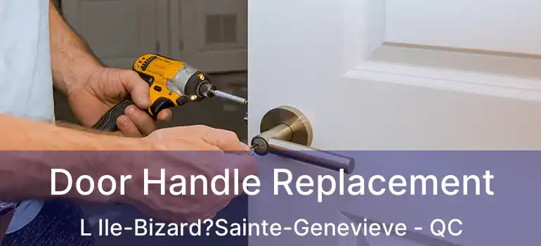 Door Handle Replacement L Ile-Bizard?Sainte-Genevieve - QC