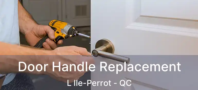  Door Handle Replacement L Ile-Perrot - QC