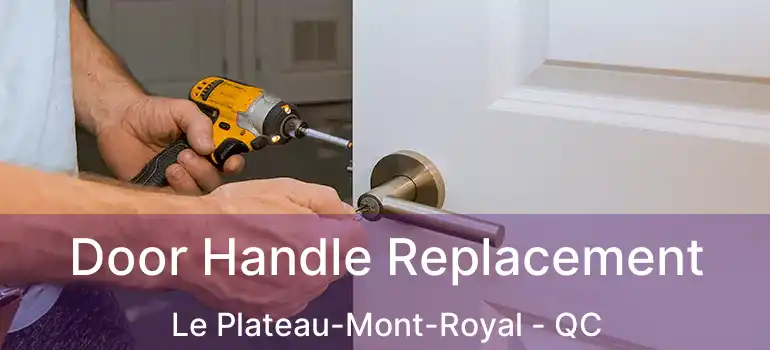  Door Handle Replacement Le Plateau-Mont-Royal - QC