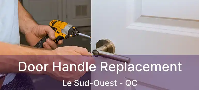  Door Handle Replacement Le Sud-Ouest - QC