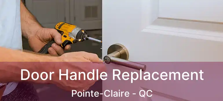  Door Handle Replacement Pointe-Claire - QC