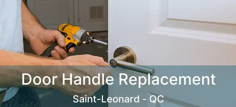  Door Handle Replacement Saint-Leonard - QC