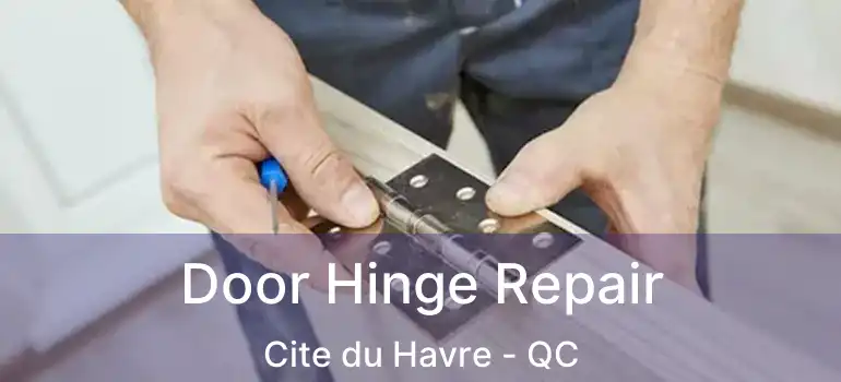 Door Hinge Repair Cite du Havre - QC
