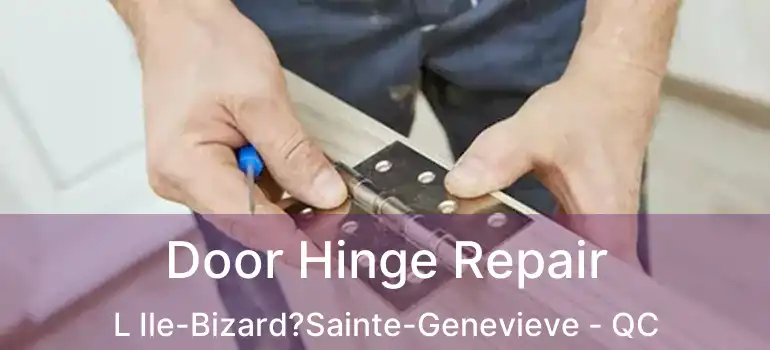  Door Hinge Repair L Ile-Bizard?Sainte-Genevieve - QC