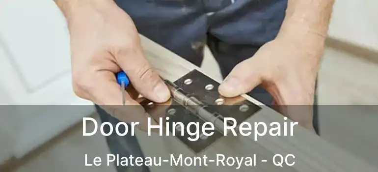 Door Hinge Repair Le Plateau-Mont-Royal - QC