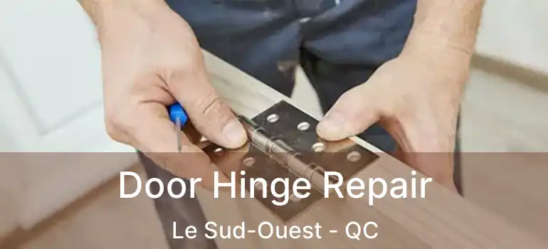  Door Hinge Repair Le Sud-Ouest - QC