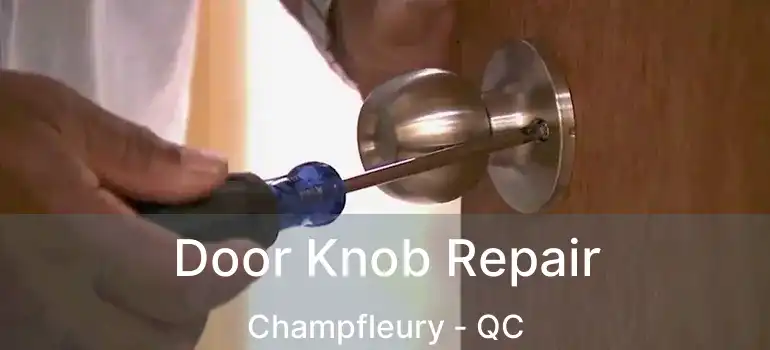  Door Knob Repair Champfleury - QC