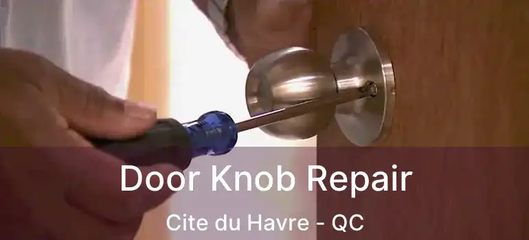  Door Knob Repair Cite du Havre - QC