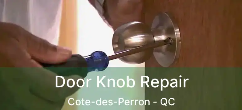  Door Knob Repair Cote-des-Perron - QC