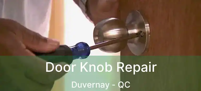  Door Knob Repair Duvernay - QC