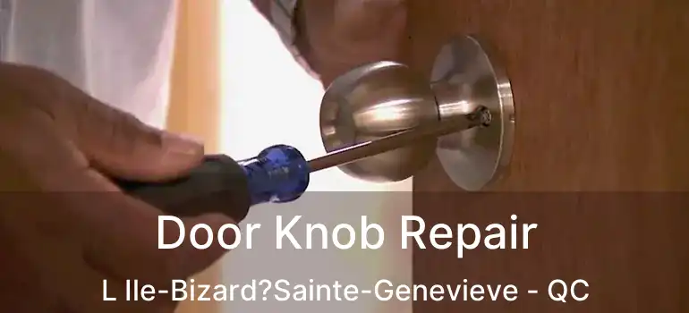  Door Knob Repair L Ile-Bizard?Sainte-Genevieve - QC